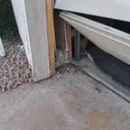 After - Garage Door Opener and Spring Repair Service