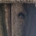 After - Commercial Garage Door Maintenance for Multi-Door Facility