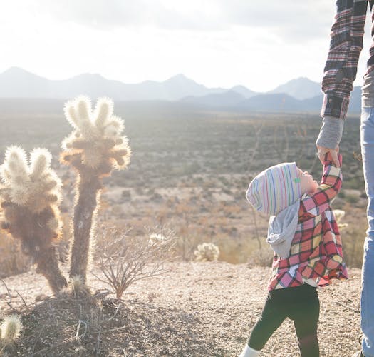 Casa Adobes cityscape